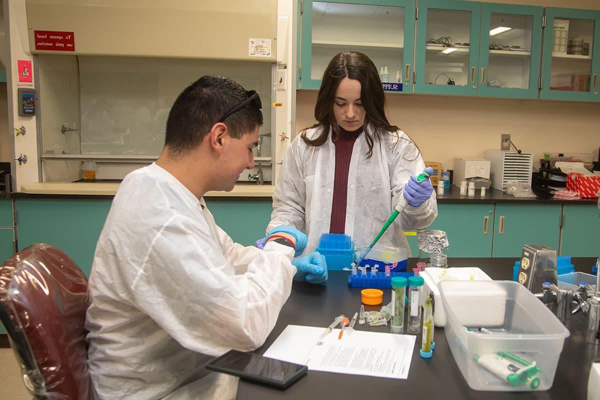 两名穿着实验室大褂的学生在实验室教室的桌子上使用移液器和试管