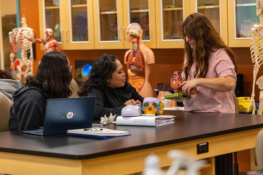 Three SJC students look at a 3-D model of a heart while sitting at a lab table in a classroom